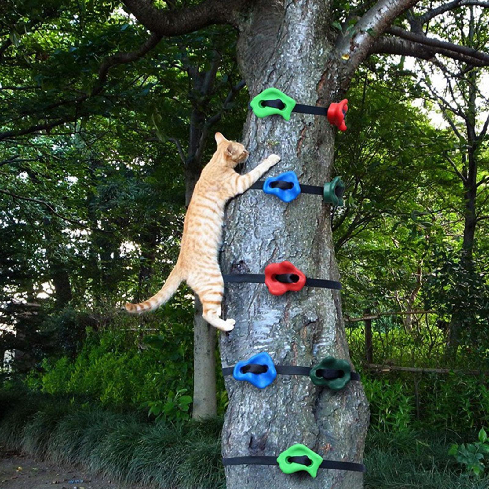 야외 등반 놀이기구 조절 가능한 고강도 장애물 코스 훈 - Outdoor Adventure Course 리뷰 및 가격